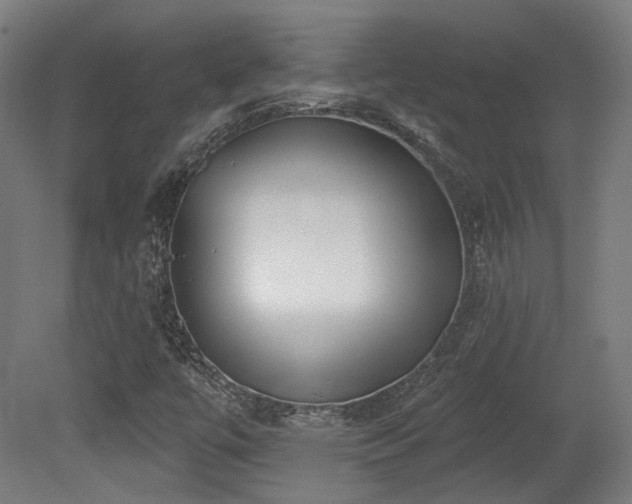 X0000079581447200612011206