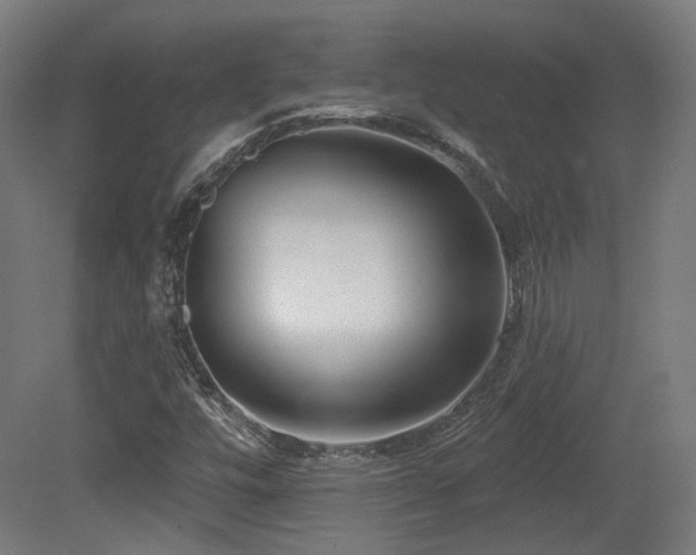 X0000079581448200612011206