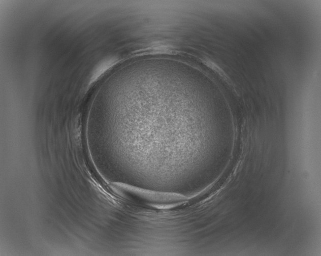 X0000079581450200612011206