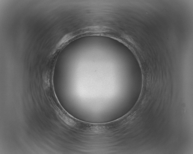 X0000079581451200612011205