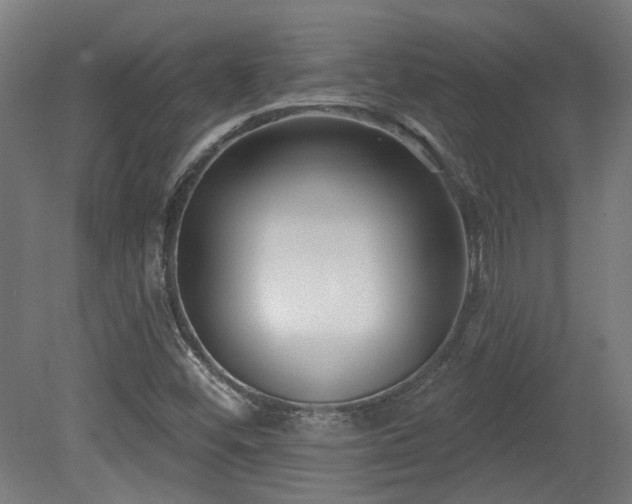 X0000079581452200612011205