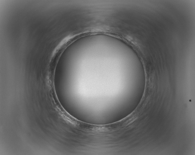 X0000079581454200612011205