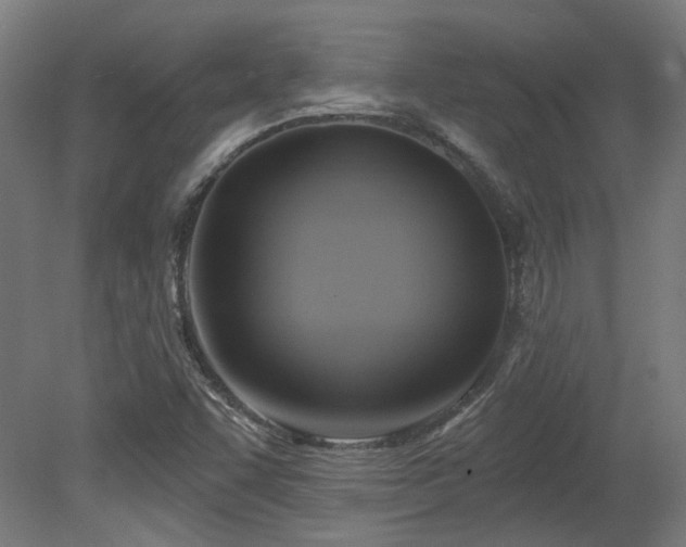 X0000079581455200612011205