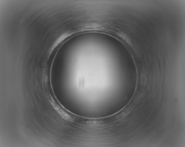 X0000079581458200612011205