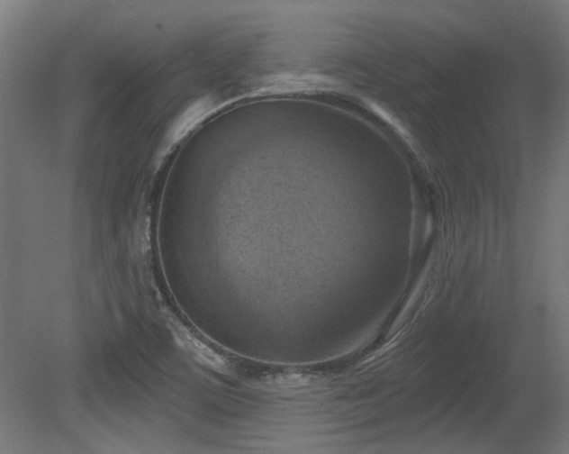 X0000079581459200612011205