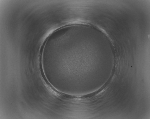 X0000079581463200612011205