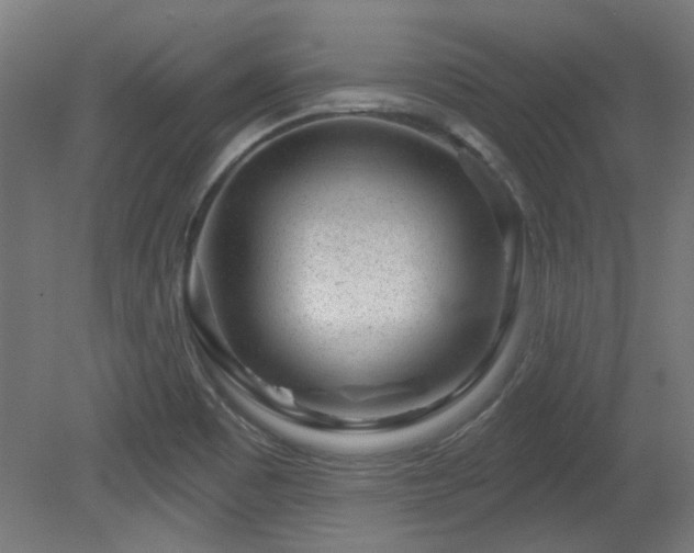 X0000079581465200612011205