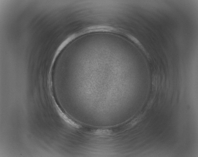 X0000079581466200612011205