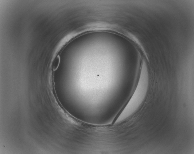 X0000079581472200612011205