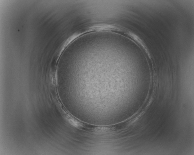 X0000079581481200612011205