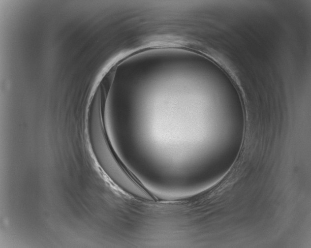 X0000079581488200612011205
