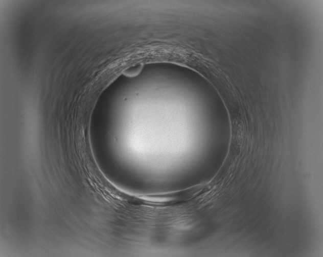X0000079581489200612011204