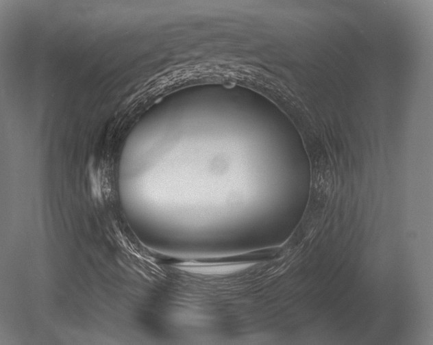 X0000079581490200612011204