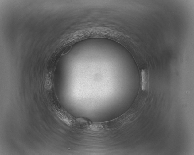 X0000079581491200612011204