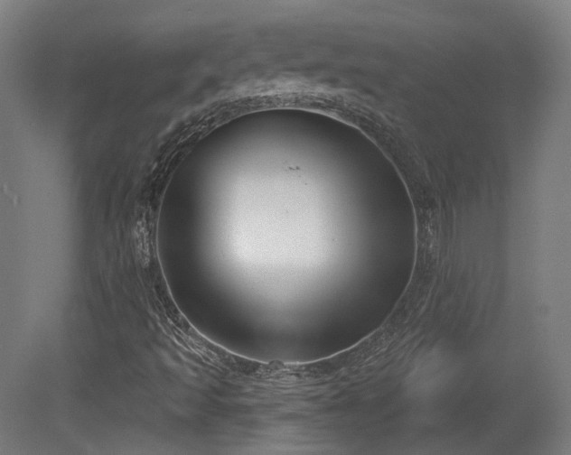 X0000079581493200612011204