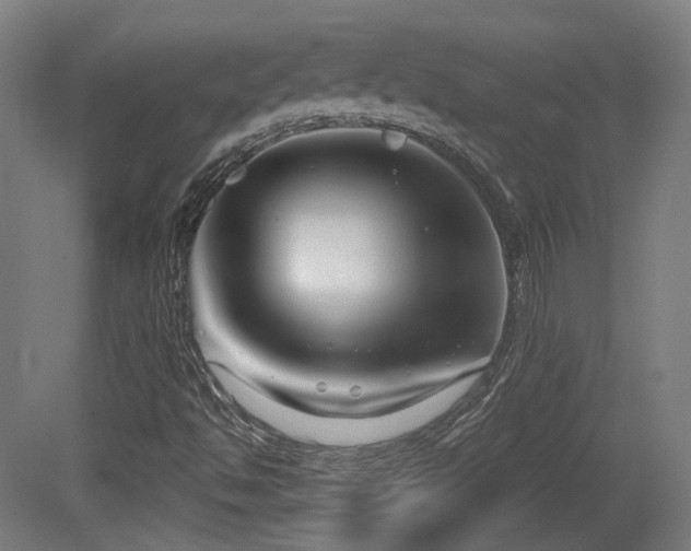 X0000079581494200612011204