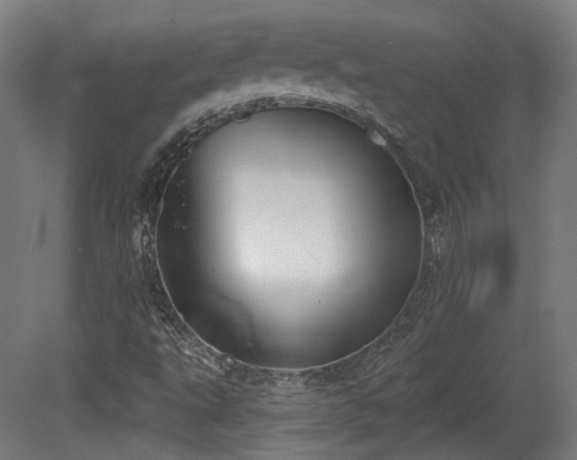 X0000079581495200612011204
