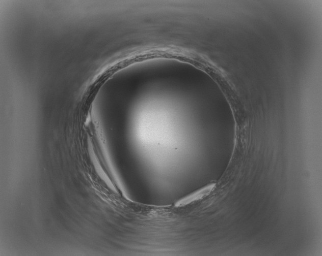 X0000079581496200612011204
