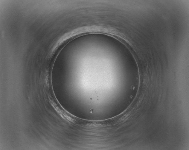 X0000079581499200612011204