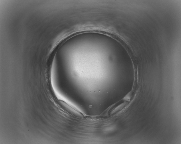 X0000079581501200612011204