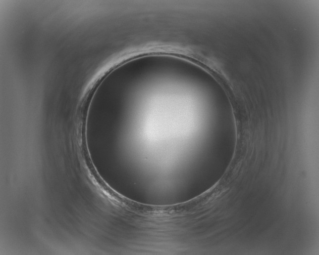 X0000079581504200612011204