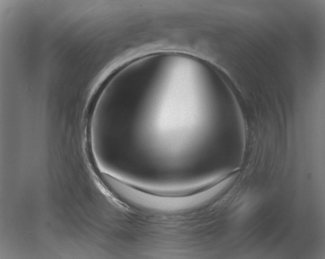 X0000079581511200612011204