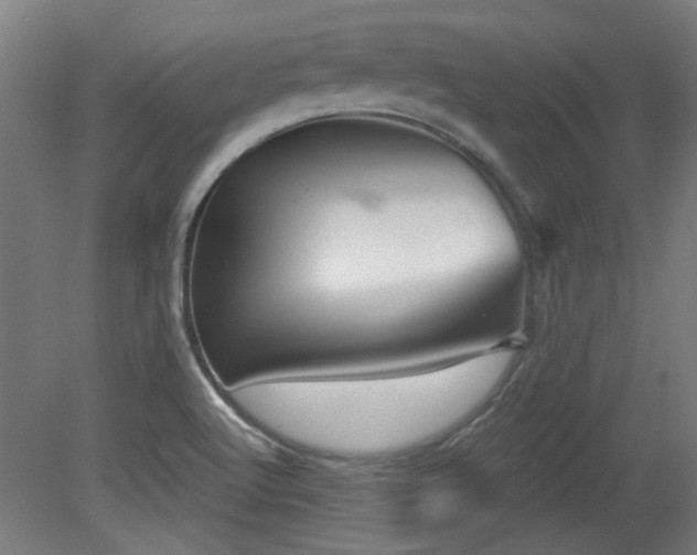 X0000079581512200612011204