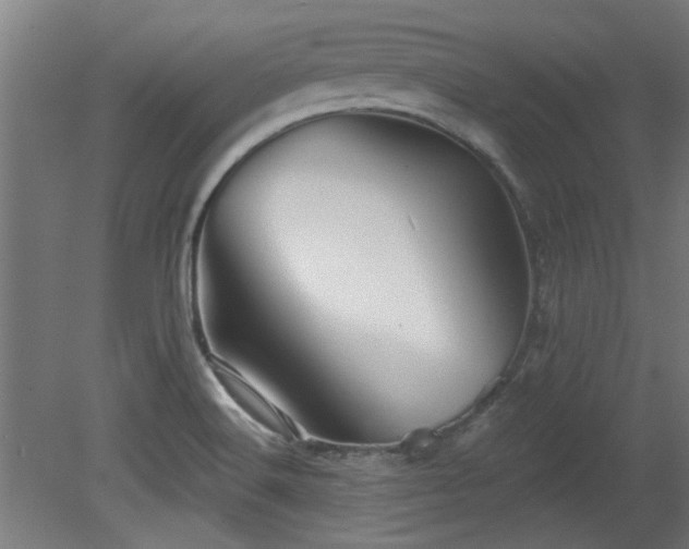 X0000079581516200612011205