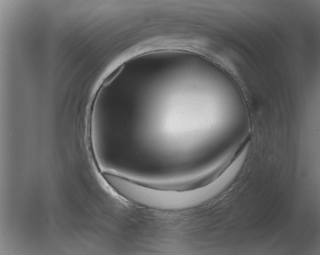 X0000079581528200612011205