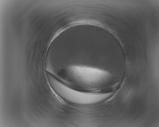 X0000079581529200612011205