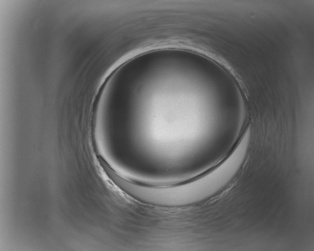 X0000079581534200612011205