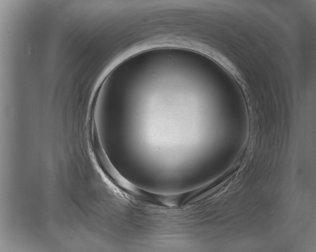 X0000079581536200612011205