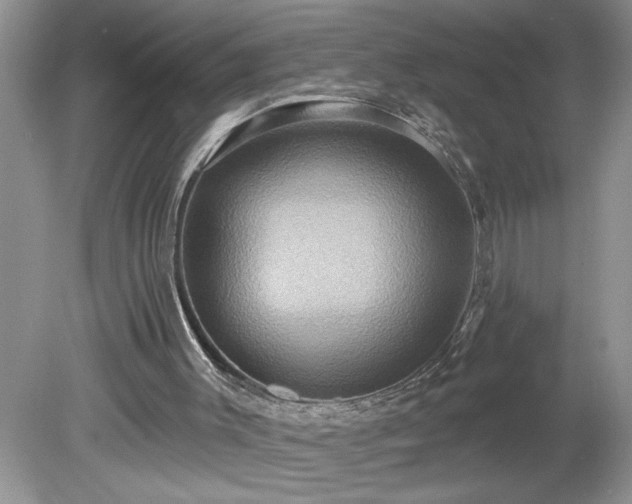 X0000079580003200612081547