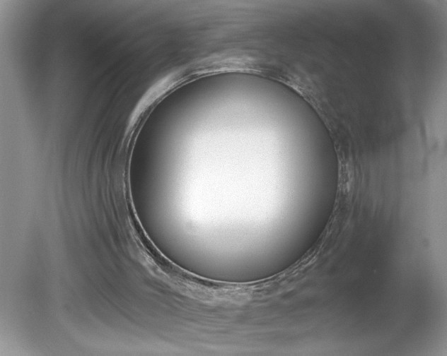 X0000079580004200612081547