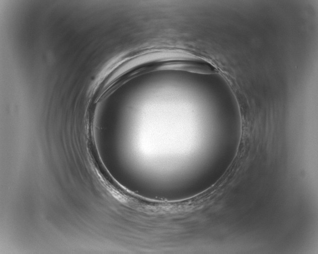 X0000079580005200612081547