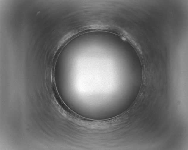 X0000079580011200612081547