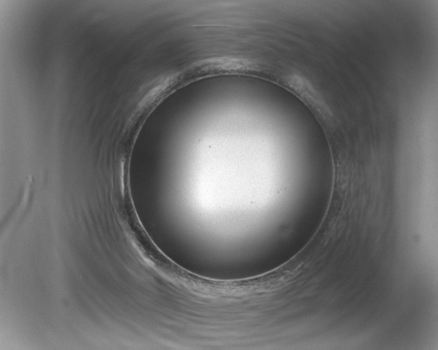 X0000079580014200612081547