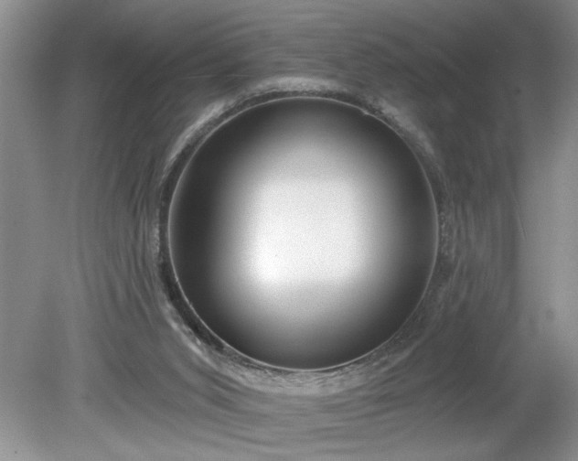 X0000079580015200612081547