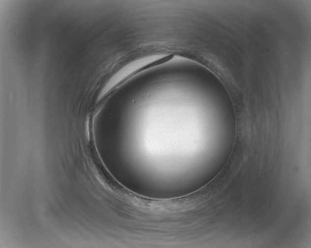 X0000079580022200612081547