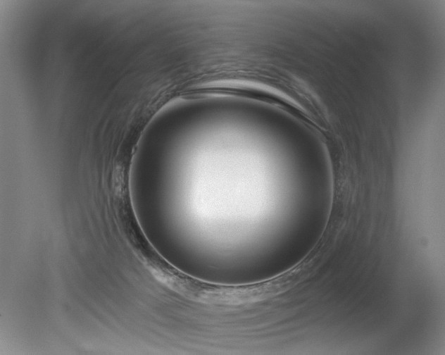 X0000079580025200612081547
