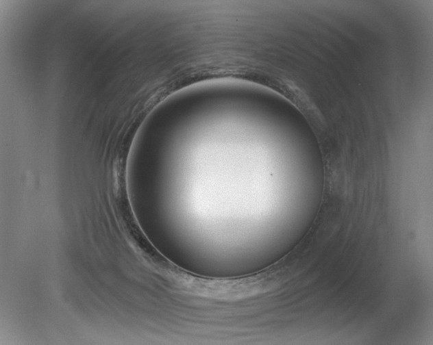 X0000079580026200612081547