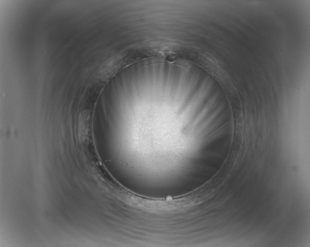 X0000079580030200612081547