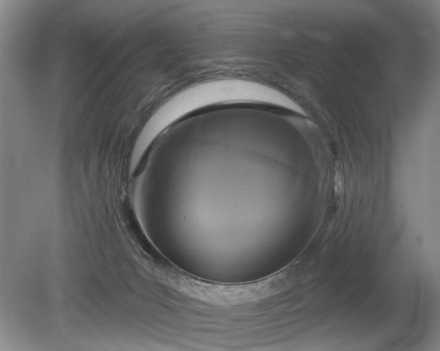 X0000079580031200612081547