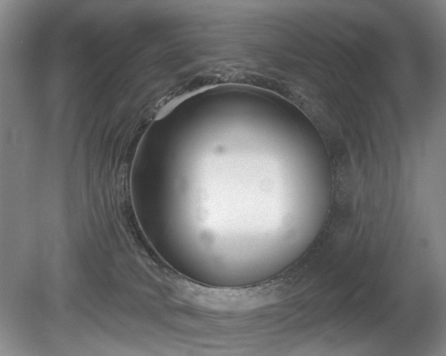 X0000079580034200612081547