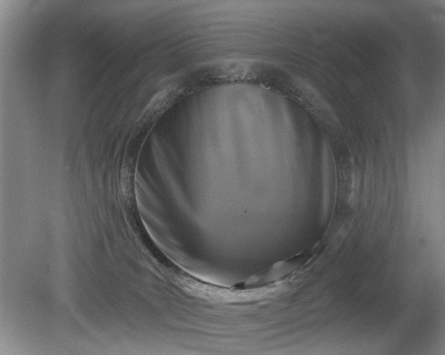 X0000079580035200612081547