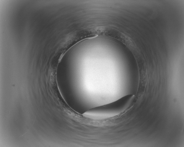 X0000079580037200612081547