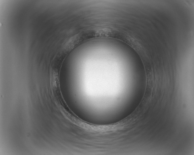 X0000079580038200612081547