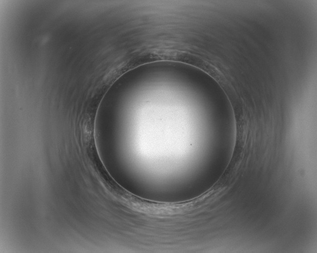X0000079580040200612081547