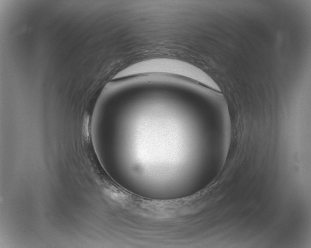 X0000079580041200612081546