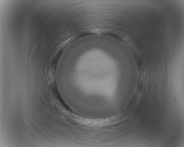 X0000079580043200612081546
